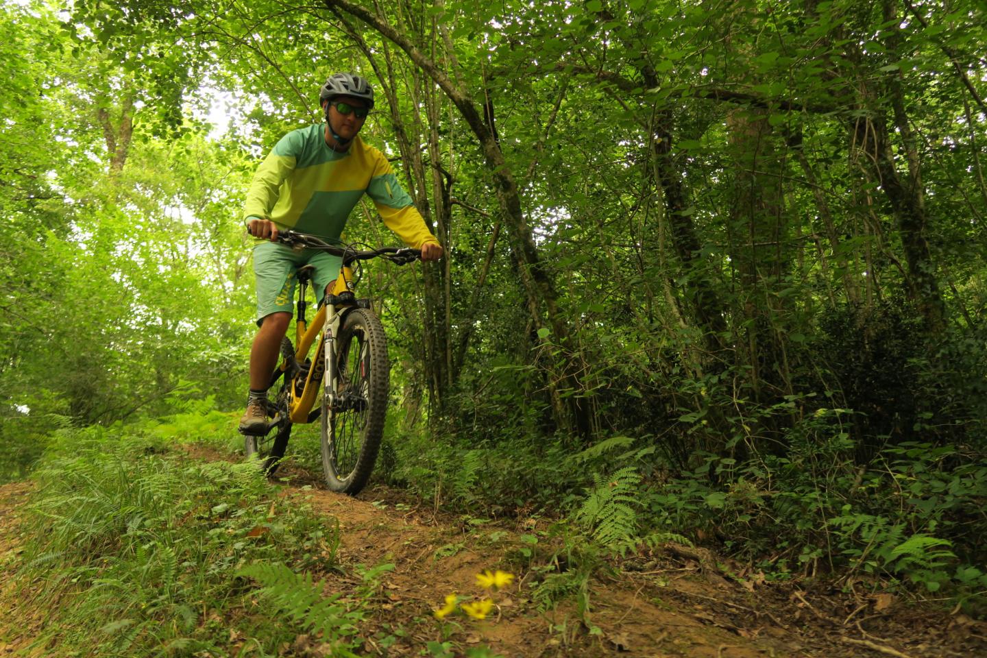 Site VTT-FFC des Pyrénées Béarnaises - Bords du Gave