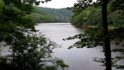 Au bord du Sioulet