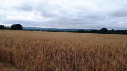 Les Plaines, panorama