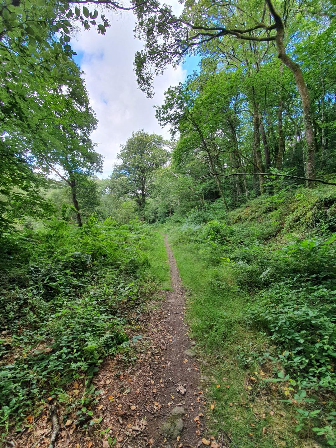 Rando de Quéven, version compilée - 64 km