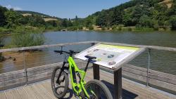 VTT-21599
