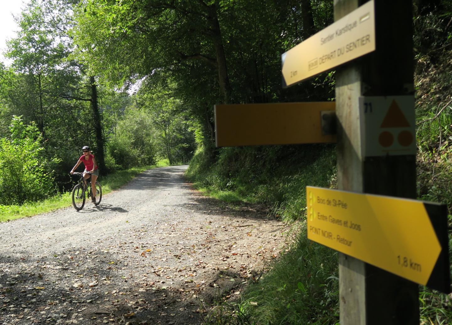 Site VTT-FFC des Pyrénées béarnaises - Entre Gaves et Joos