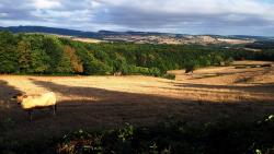 Paysage à Narancy