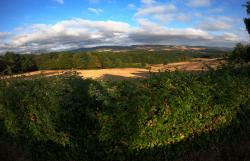 Paysage en Bourgogne du Sud (Cluny)