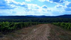 Vignes et montagnettes