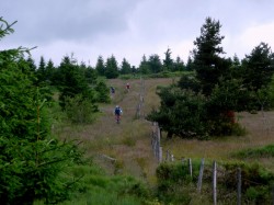 VTT-6040