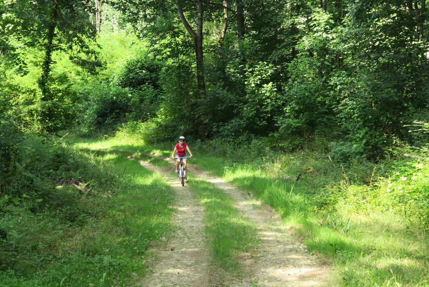 Site VTT-FFC des Pyrénées béarnaises - Bois de Saint-Pée