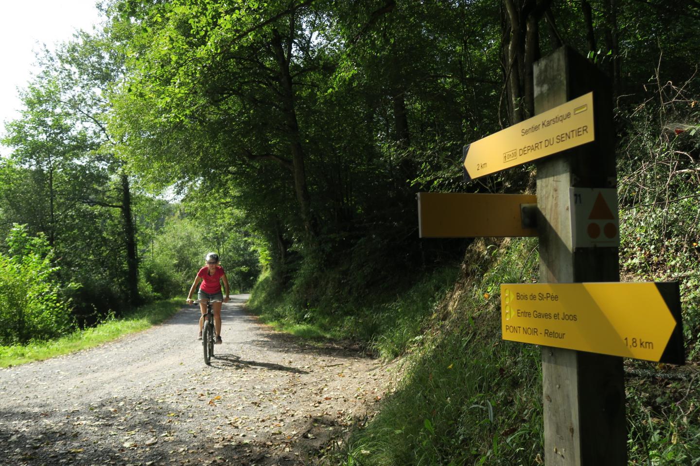 Site VTT-FFC des Pyrénées béarnaises - Tour de Saint-Pée