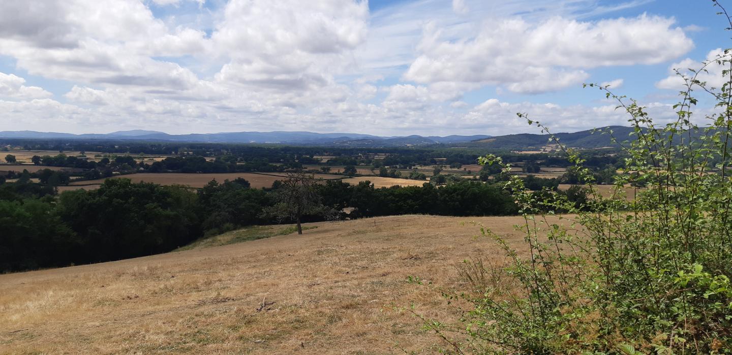 Morvan - Igornay - Bois de Viévy