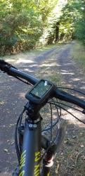 VTT-21695