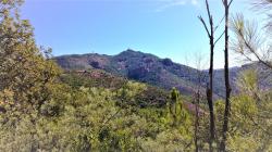Le Mont Vinaigre