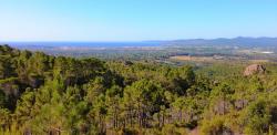 Ance de St Raphaël - Fréjus