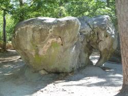 Eléphant d'Apremont