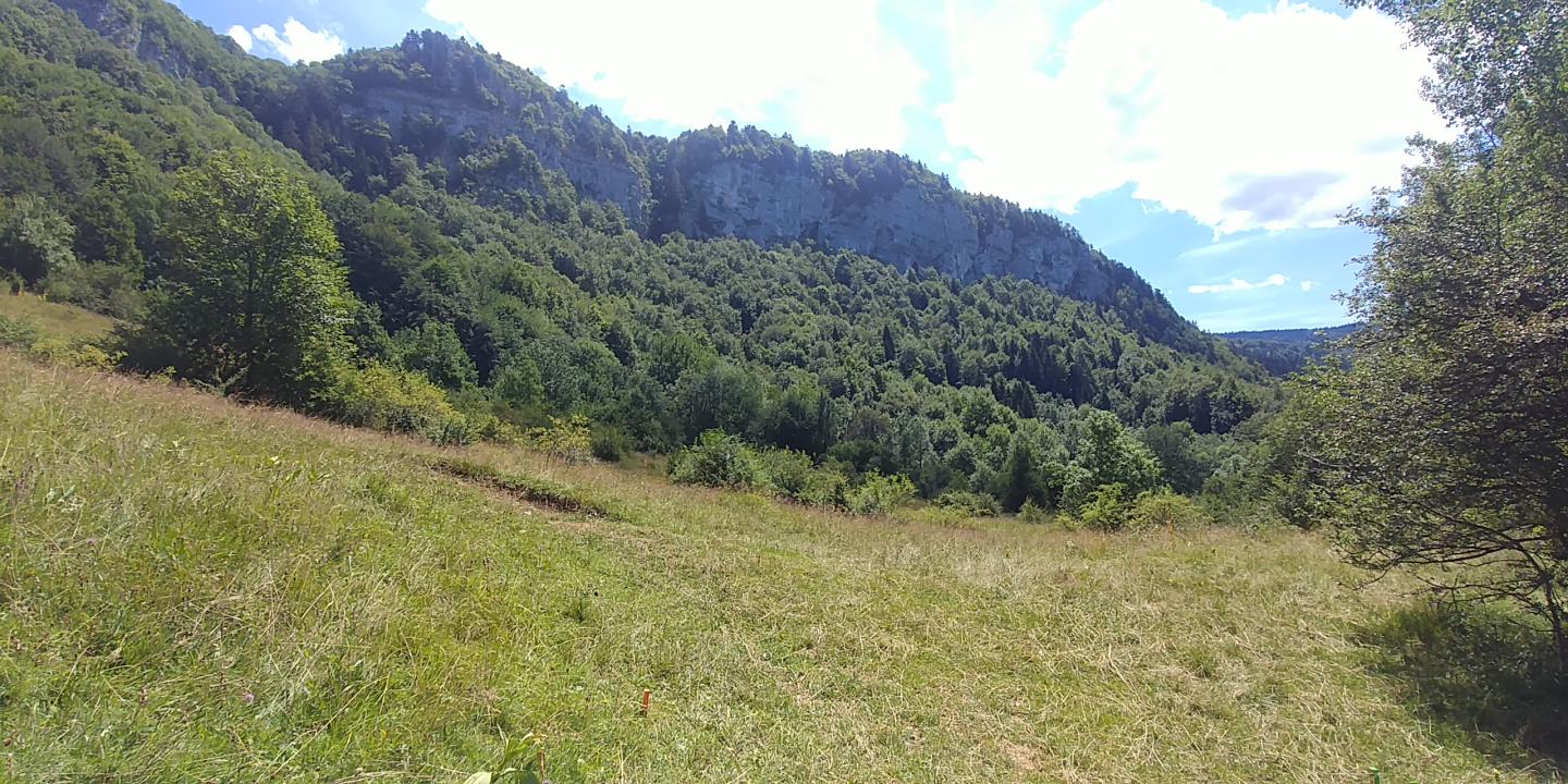 Les chalets Mermet