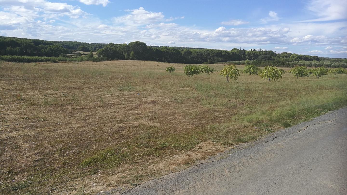 Bessilles - Circuit N°1 : Les coteaux de Bessilles
