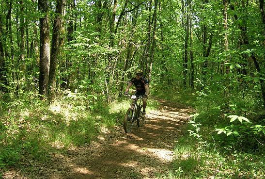 La Rozière 2006 - 60 km