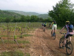 La Rozière- les vignes de Roquebilière
