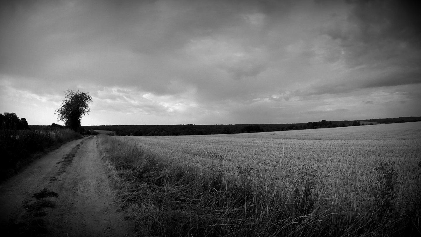 De Cerfontaine à Lompret