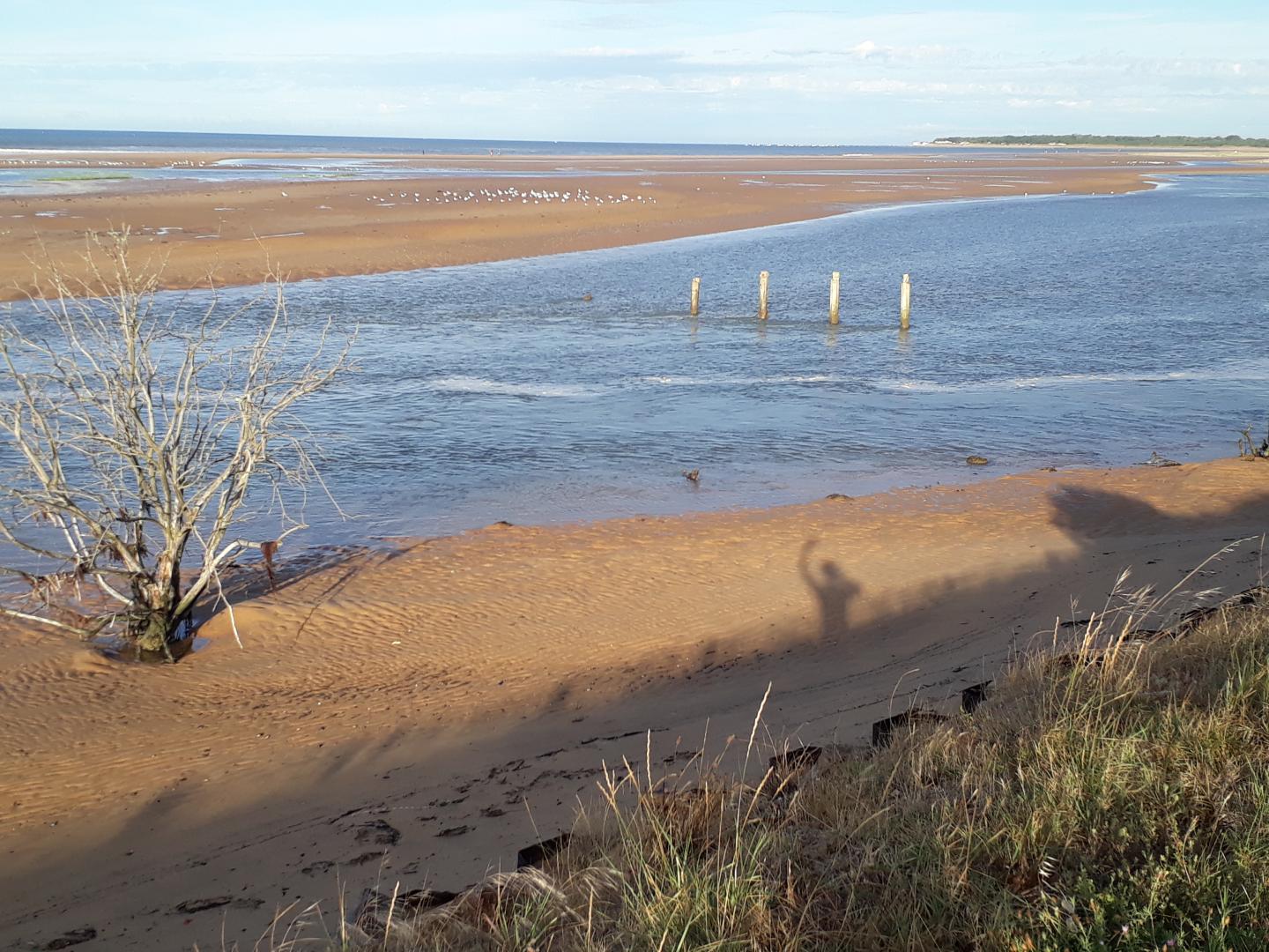La Faute-sur-Mer