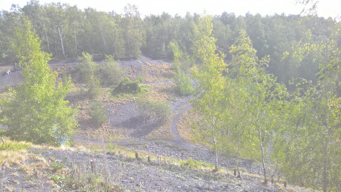 Entre Arenberg et les terrils de Raismes