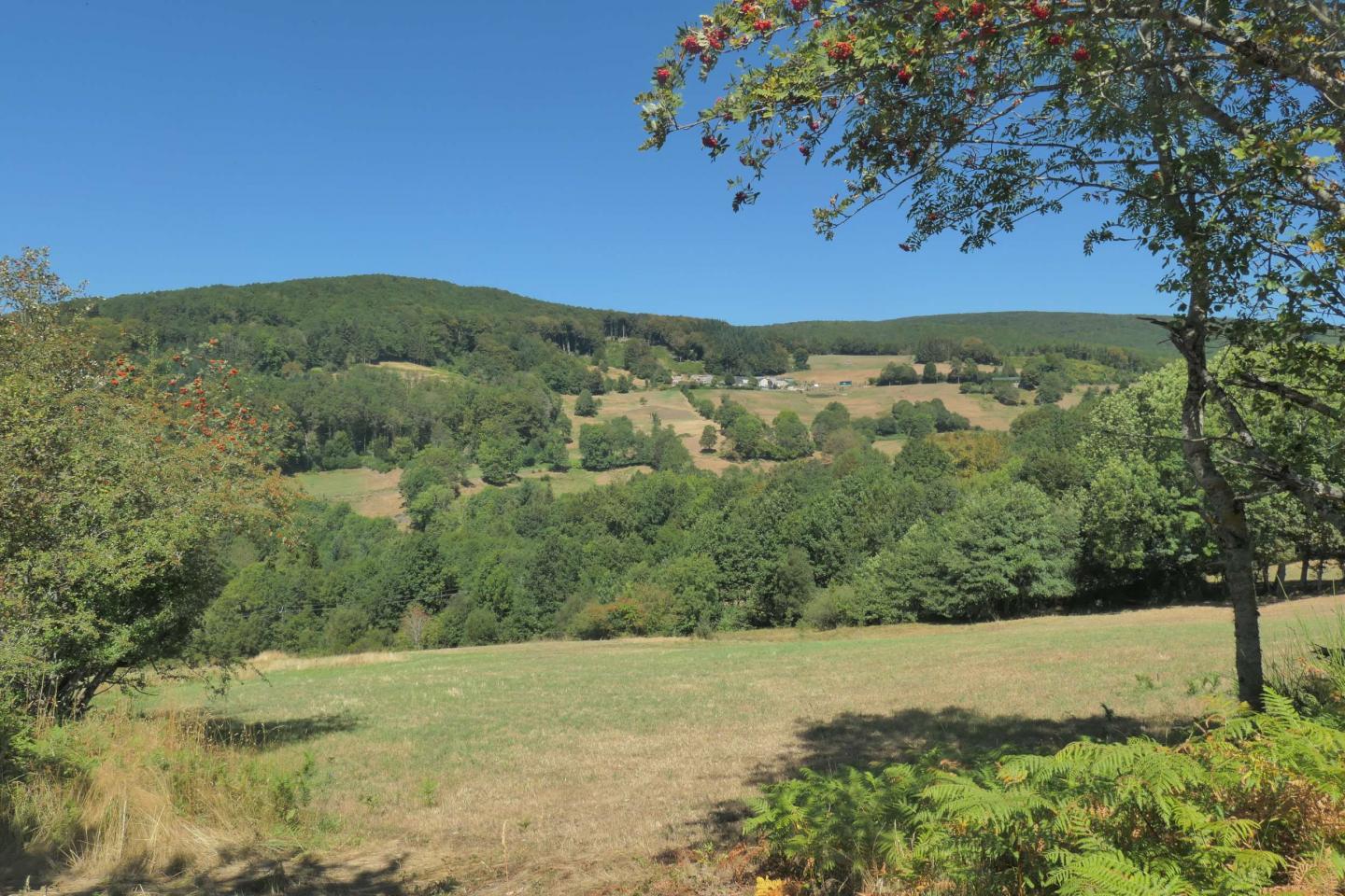 De la Bassine (col) au lac (Laouzas)