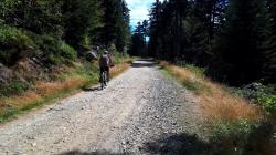 Piste forestière ''ouest'' au départ