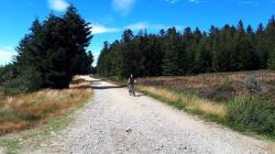 Piste forestière ''ouest'' , arrivée à la bifurcation de Jas de Bitou