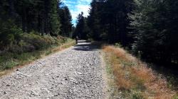 Piste forestière ''Ouest''