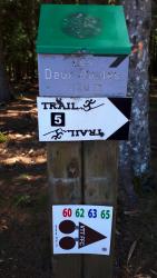 Bois des Deux Boules