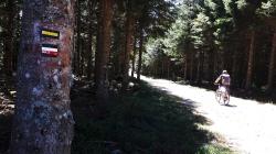 Sur le GR 3