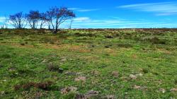 Paysage des Hautes Chaumes du Forez