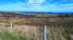 Paysage des Hautes Chaumes du Forez