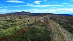 Paysage des Hautes Chaumes du Forez