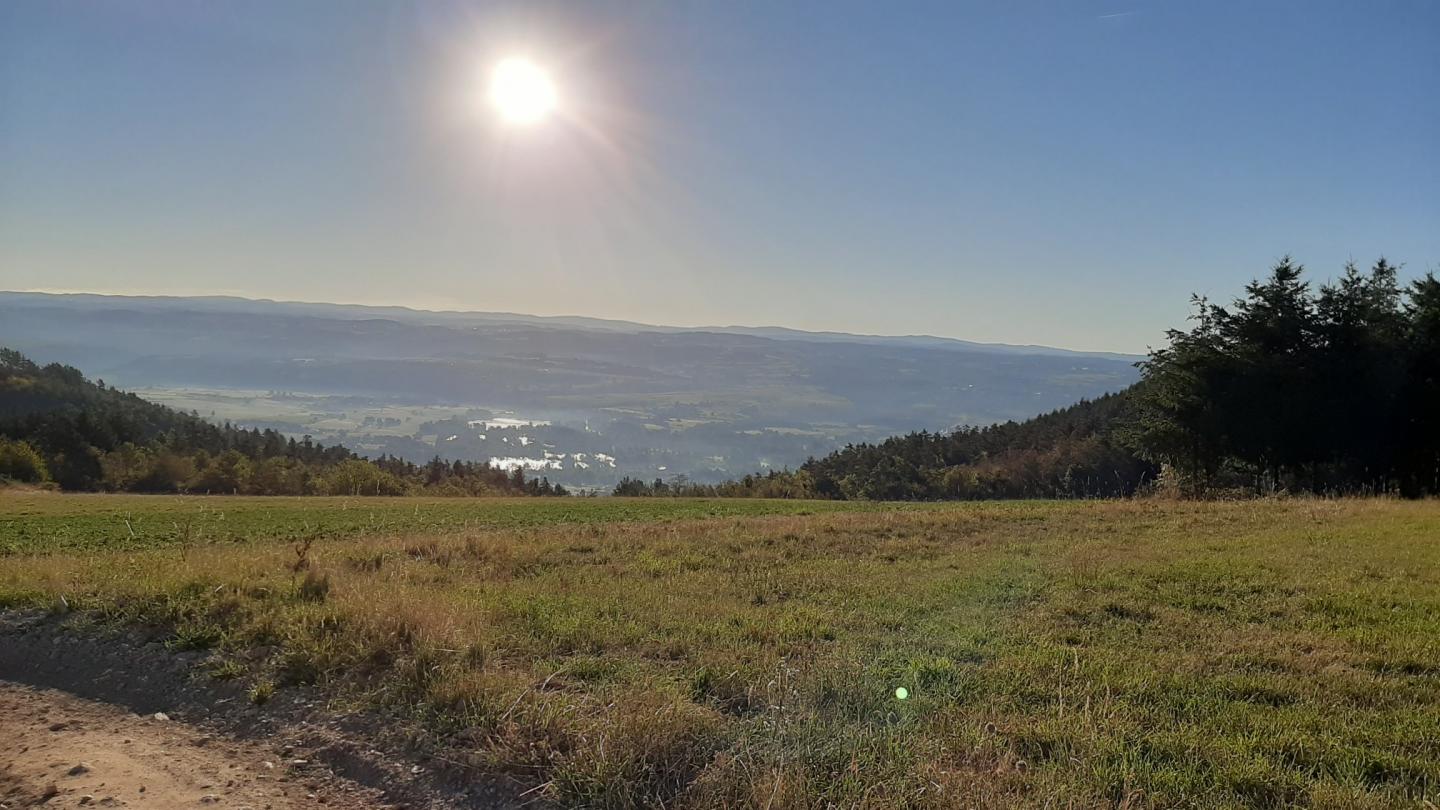 Sur les hauteurs de Bas-en-Basset