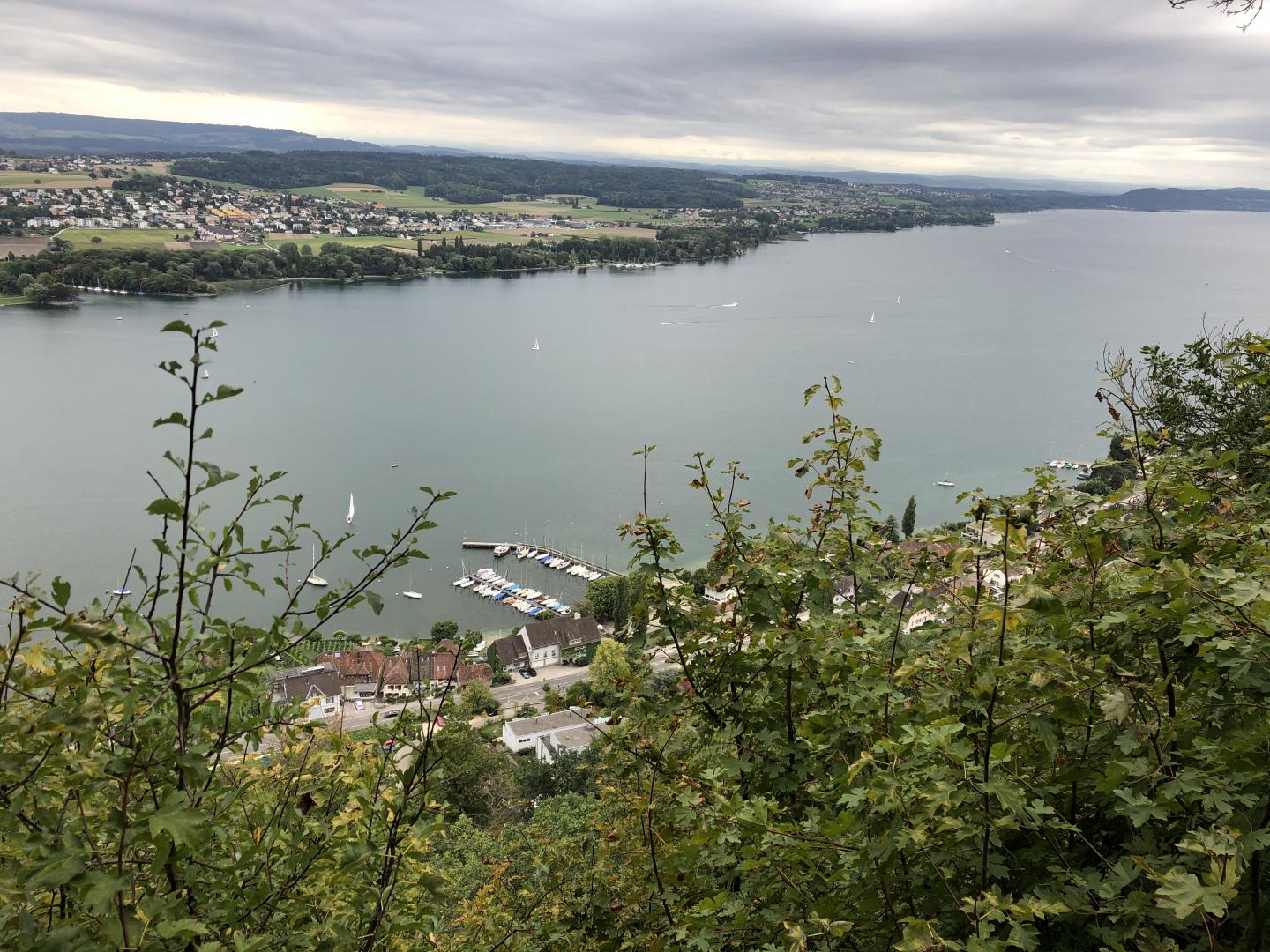 Vue sur les Alpes, lac de Bienne et Ile-Saint-Pierre