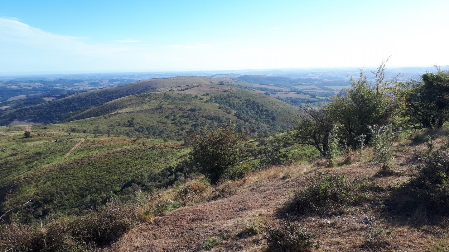 Collines de Saint-Palais - Larceveau