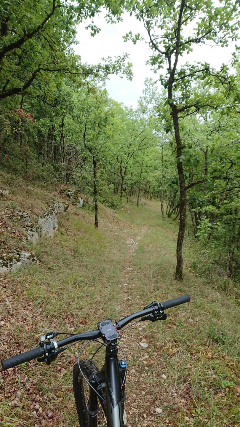 Entre Mayac et Cubjac (Circuit "Naturellement Périgord" N° 5)