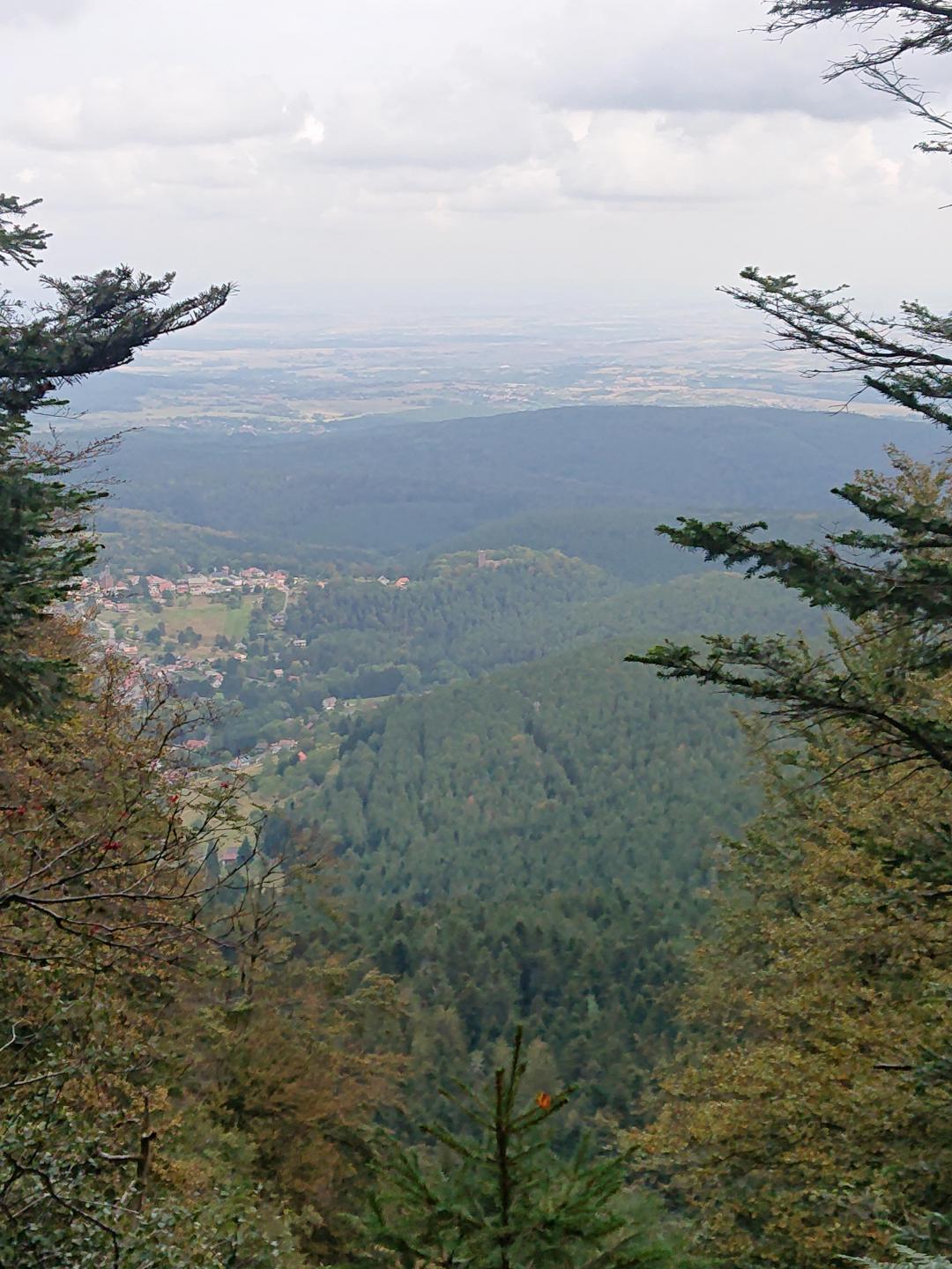 Marlenheim - Schneeberg - Rocher du Pfafenlapp