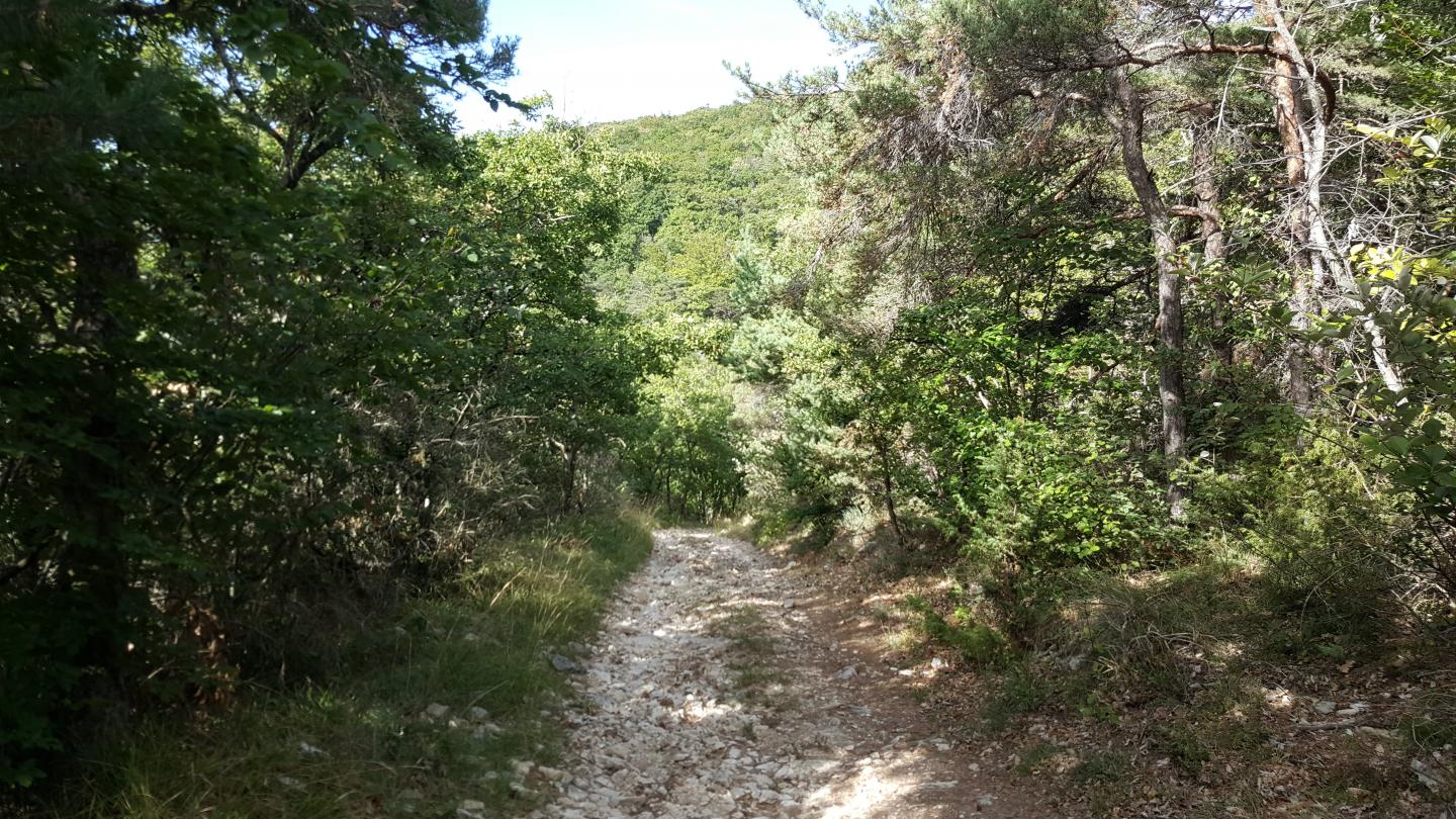 Parcours en 8 entre Ourches et Cobonne