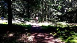 Chemin bucolique