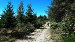 Chemin pierreux