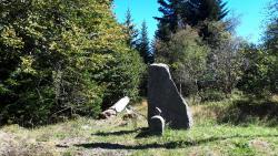 Carrefour de la Grande Borne
