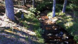 Ruisseau le Sapey