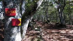 Trail, départ du 500 m vertical