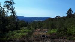 Vue sur le Massif des Bois Noirs (Puy de Montoncel)