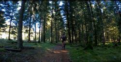 Chemin bucolique