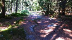 Joli chemin pour descendre à la Grande Borne