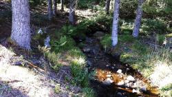 Ruisseau le Sapey