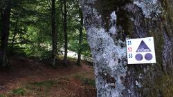 Départ atypique des circuits vers le Grand Téléski
