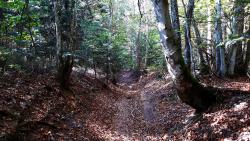 Plan de la Dance, single dans une petite combe